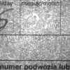 Obywatela Rosji drogo kosztowała chęć zrobienia zakupów w Polsce. Musi zapłacić grzywnę za przerobienie polisy OC.