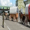 Funkcjonariusze Straży Granicznej odprawili 7… zaprzęgów konnych.