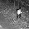 Obywatel Gwinei Bissau był tak zdesperowany, że atakował Straż Graniczną.