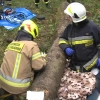 Strażacy z gminy Świątki ćwiczyli reagowanie na sytuacje kryzysowe.