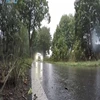 To jeden z podstawowych czynników wpływających na bezpieczeństwo jazdy. Rozmawiamy o czystości i widoczności przez przednią szybę pojazdu.