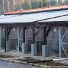 Więcej adopcji i mniej nowych podopiecznych. Olsztyńskie schronisko dla zwierząt podsumowało rok 2019.