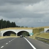 Przedstawiciele olsztyńskiego oddziału Generalnej Dyrekcji Dróg Krajowych i Autostrad podpisali porozumienie z Regionalną Dyrekcją Lasów Państwowych w Olsztynie.