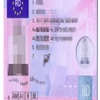 Funkcjonariusze Straży Granicznej zatrzymali Niemca posługującego się podrobionym prawem jazdy.