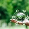 Zmniejszenie emisji gazów cieplarnianych i poziomu wykorzystania energii - to najważniejszy cel Gospodarki Obiegu Zamkniętego.