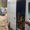 Chęć zebrania grzybów sprawiła, że złodziej drewna wpadł w ręce strażników.