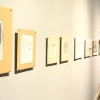 Galeria BWA w Olsztynie prezentuje ponad 80 rysunków Ryszarda Grzyba – malarza, poety i rysownika. Tytuł wystawy „Ja chrząszcz” jest jednocześnie tytułem jednego z jego wierszy, jak i tomików poezji, który towarzyszy prezentacji.