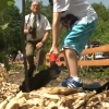 Ta pamiątka zostanie z nimi na całe życie. W Iławie odbyła się akcja „Jedno dziecko, jedno drzewo”, w której organizację włączyła się Regionalna Dyrekcja Lasów Państwowych w Olsztynie.
