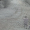 Straż Graniczna ukarała mandatami turystów biwakujących przy granicy polsko-rosyjskiej.