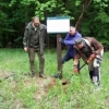 Pod topór pójdzie 21 ha lasu. Zostały prawomocnie uznane za przeszkodę lotniczą.
