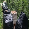 Nieznany sprawca wyrzucił do lasu kilkanaście tysięcy zepsutych jajek.