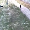 To kolejna osoba zatrzymana w tym roku na pasie drogi granicznej.