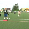 Dzieci i młodzież z Miłomłyna, dzięki turniejowi „Zagraj w palanta na Orliku”, miały okazję nauczyć się tego sportu, a także poczuć ducha rywalizacji.