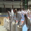  Najlepsi olsztyńscy wojownicy w jednym miejscu i czasie. W Olsztynie odbył się Festiwal Sztuk Walki.