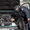 Warmińsko-mazurska służba celno-skarbowa szuka chętnych.