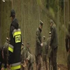  Ponad 20 milionów drzew zostanie wiosną posadzonych w warmińsko-mazurskich lasach. Nasadzenia już się rozpoczęły. Byliśmy na uroczystych obchodach Święta Lasu.