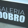 Galeria sztuki w całkowicie nowej odsłonie. „Dobro” to najnowszy pomysł Miejskiego Ośrodka Kultury w Olsztynie.