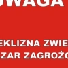 W powiecie ostródzkim znaleziono nietoperza zakażone wścieklizną.