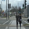 Kto powinien zachować większą ostrożność w rejonie przejścia dla pieszych? Czy tylko kierowców obowiązują zasady: szczególnej ostrożności oraz ograniczonego zaufania? Pytamy przedstawicieli WORD, ośrodków szkolenia kierowców oraz policji.