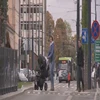 W 2017 roku ponad 700 wypadków to wypadki z udziałem pieszych. Jak poprawić te statystyki?