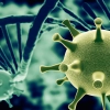 Rząd zapowiedział łagodzenie epidemicznych obostrzeń w maju. Wszystko będzie jednak zależało od liczby zakażeń.