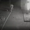 Nieznani sprawcy podpalili palmę przy Starostwie Powiatowym w Olsztynie.
