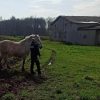 Nietypowa interwencja miała miejsce na terenie gminy Lubawa.