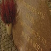  To będą ważne miesiące w kalendarzu duchowych przeżyć. Archidiecezja Warmińska przygotowuje się do obchodów 140. rocznicy objawień i 50. rocznicy koronacji obrazu Matki Bożej Gietrzwałdzkiej.
