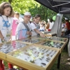 Wojewódzki Fundusz Ochrony Środowiska i Gospodarki Wodnej rozpoczął nabór wniosków.