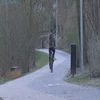 Lato – to czas rowerzystów. Niestety, ta grupa uczestników ruchu drogowego nie zawsze respektuje przepisy.