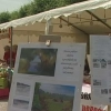  Targi Organizacji Pozarządowych Powiatu Ostródzkiego po raz pierwszy odbyły się w Dąbrównie. Wybór miejsca nie był przypadkowy, bowiem gmina ta słynie z niezwykłej aktywności społecznej mieszkańców.