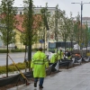 W centrum Olsztyna prowadzone są kolejne nasadzenia.