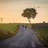 Święta Warmia i Rower to ultramaraton dla rowerzystów o żelaznej kondycji.