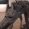 To wystawy, które można odbierać wszystkimi zmysłami. Inspiracją do ich powstania była natura wolna od ingerencji człowieka. Za nami podwójny wernisaż w Galerii BWA w Olsztynie.