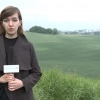 Czy rolnicy również mogą liczyć na wsparcie z Tarczy Antykryzysowej? Warmińsko-Mazurska Izba Rolnicza stara się o umożliwienie im pozyskania takiej pomocy.