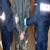 Dwaj mężczyźni odpowiedzą za szczególne okrucieństwo wobec zwierzęcia.