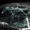 Policjanci apelują o ostrożność podczas jazdy przez tereny leśne.