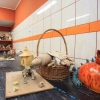 Centrum Edukacji i Inicjatyw Kulturalnych w Olsztynie organizuje przegląd dla artystów-amatorów.