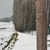 Straż Graniczna ukarała kolejnych turystów za przekraczanie granicy w miejscu niedozwolonym.