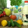 Jak przygotowywać brokuły, żeby nie traciły swoich wartości odżywczych, w jakich produktach spożywczych znajdziemy cenne dla zdrowia prebiotyki i dlaczego pieczywo jest ważnym elementem naszej diety? Pracownicy Instytutu Rozrodu Zwierząt i Badań Żywn