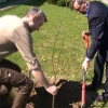 Gietrzwałd rozpoczął wiosenne nasadzenia drzew. Nowe klony pojawiły się m.in. w pobliżu Sanktuarium.