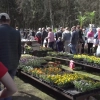 Około 200 wystawców, setki roślin, krzewów i drzew, rękodzieło, tradycyjne przysmaki, wystawy zwierząt hodowlanych – za nami XIII Targi Ogrodnicze „Pamiętajmy o ogrodach” zorganizowane przez Warmińsko-Mazurski Ośrodek Doradztwa Roln