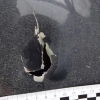 Policjanci zatrzymali agresywnego mężczyznę, który wzburzony wybiegł z kosą na drogę i uderzał nią w przypadkowy samochód. Na szczęście nikt nie został poszkodowany.