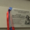 To miejsce już przyciąga spojrzenia mieszkańców Olsztyna. Przy siedzibie Starostwa Powiatowego powstał Zaułek Botaniczny Mikołaja Kopernika.