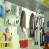 Bakterie jelitowe w chłodnym otoczeniu mogą pomóc w walce z otyłością. 