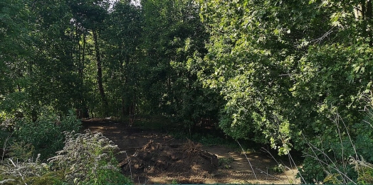Rozpoczęły się prace ziemne przy budowie ekotarasu - kolejny projekt Olsztyńskiego Budżetu Obywatelskiego wszedł w fazę realizacji.