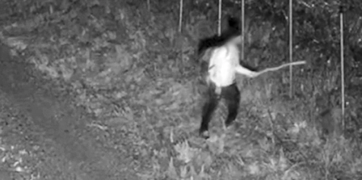 Obywatel Gwinei Bissau był tak zdesperowany, że atakował Straż Graniczną.