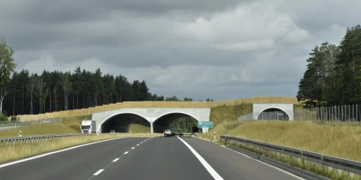 Przedstawiciele olsztyńskiego oddziału Generalnej Dyrekcji Dróg Krajowych i Autostrad podpisali porozumienie z Regionalną Dyrekcją Lasów Państwowych w Olsztynie.