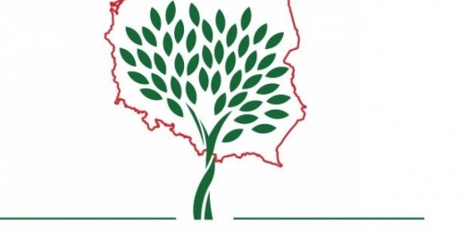 „100 tysięcy drzew na 100-lecie Niepodległości” - to akcja, która za tydzień zawita również do Olsztyna.