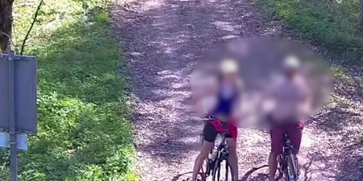 Kamery zarejestrowały rowerzystów na pasie drogi granicznej.